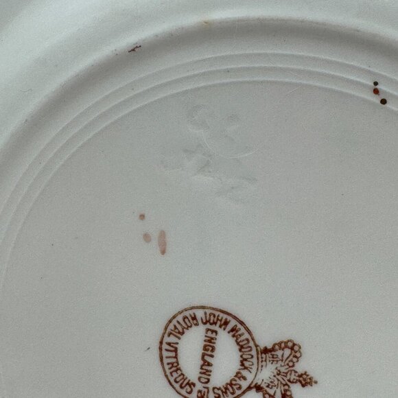 Vintage John Maddock and Sons Royal Vitreous Peacock Dessert Plate set of two - Picture 11 of 15